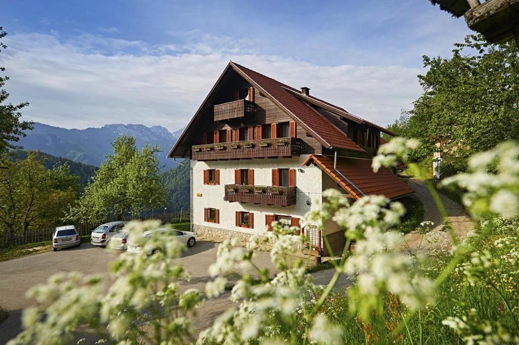 Farm Stay "Alpine Dreams" Solcava Exterior photo