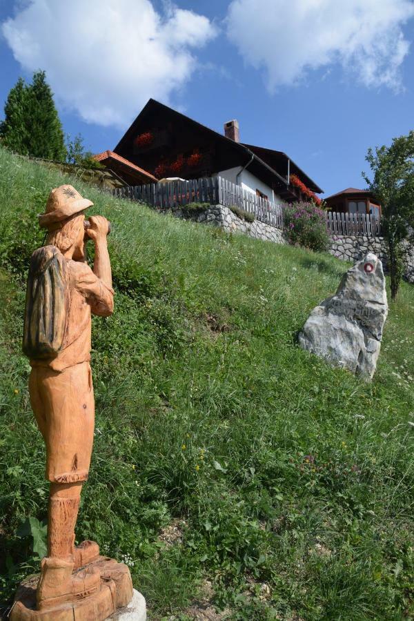 Farm Stay "Alpine Dreams" Solcava Exterior photo